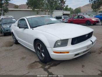  Salvage Ford Mustang