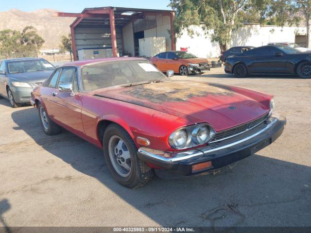  Salvage Jaguar Xjs