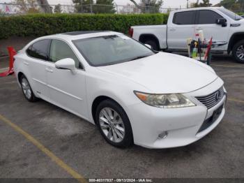  Salvage Lexus Es