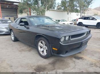  Salvage Dodge Challenger