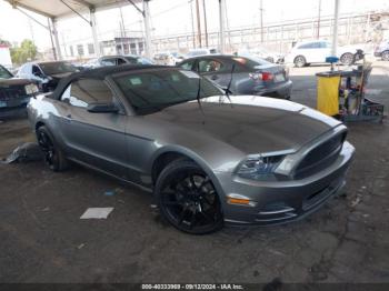  Salvage Ford Mustang