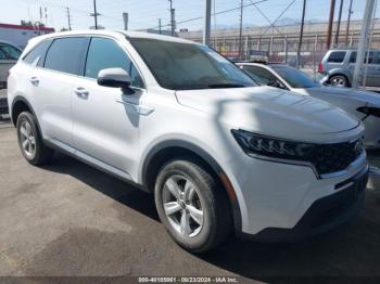  Salvage Kia Sorento