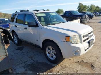  Salvage Ford Escape