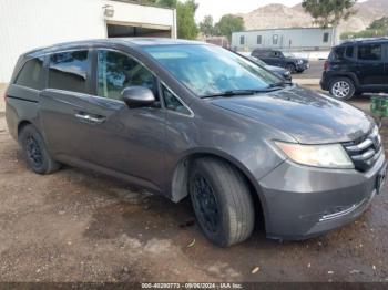  Salvage Honda Odyssey