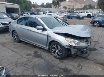  Salvage Honda Accord