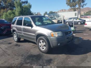  Salvage Ford Escape