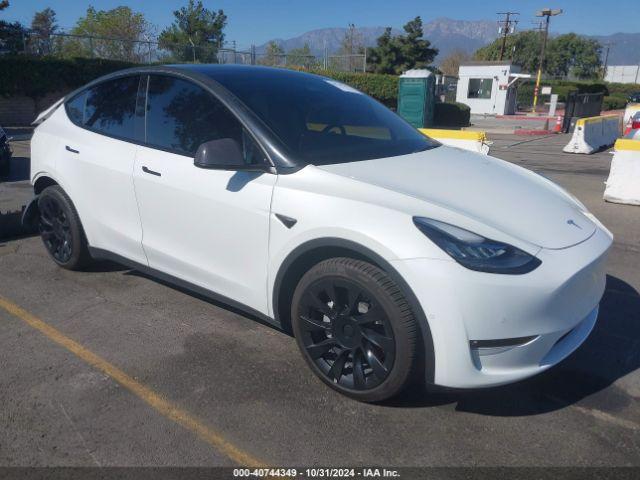  Salvage Tesla Model Y