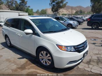  Salvage Honda Odyssey