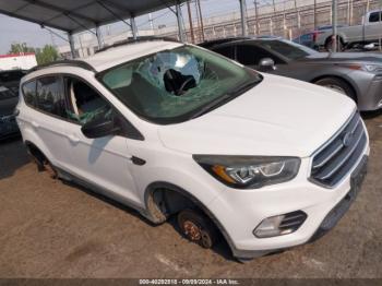  Salvage Ford Escape