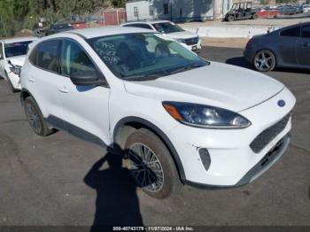  Salvage Ford Escape