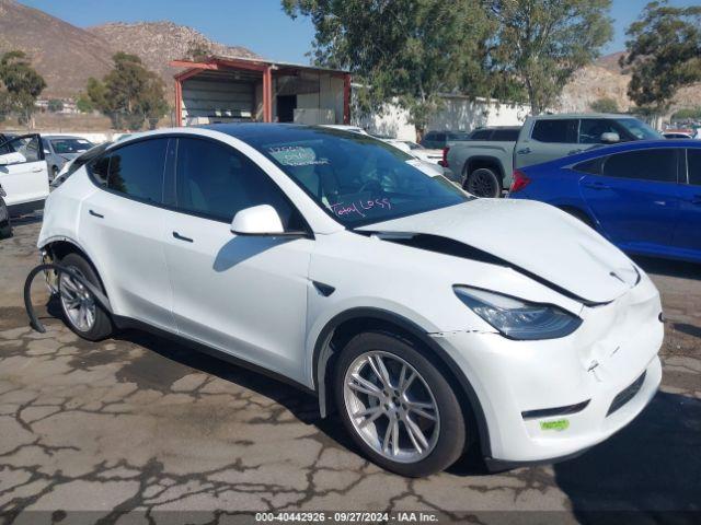  Salvage Tesla Model Y