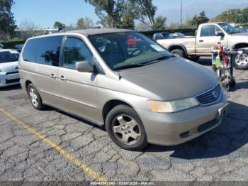  Salvage Honda Odyssey