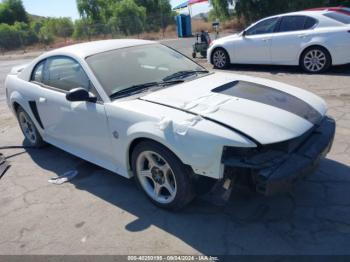  Salvage Ford Mustang