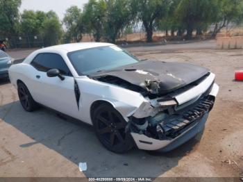  Salvage Dodge Challenger