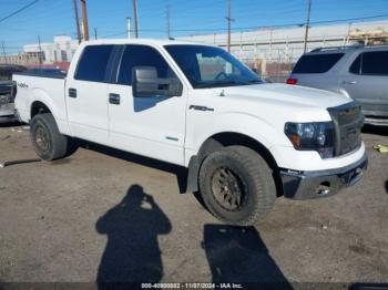  Salvage Ford F-150