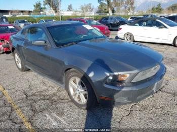  Salvage Ford Mustang