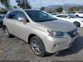  Salvage Lexus RX