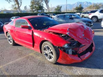  Salvage Ford Mustang