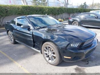  Salvage Ford Mustang