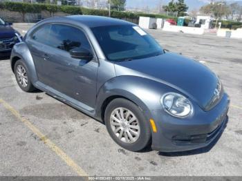  Salvage Volkswagen Beetle