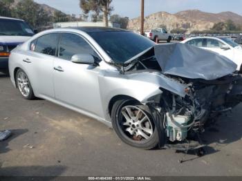  Salvage Nissan Maxima