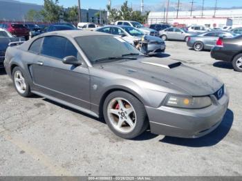  Salvage Ford Mustang