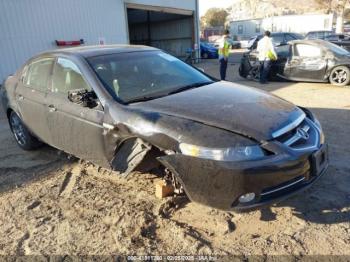  Salvage Acura TL