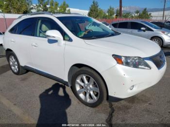  Salvage Lexus RX