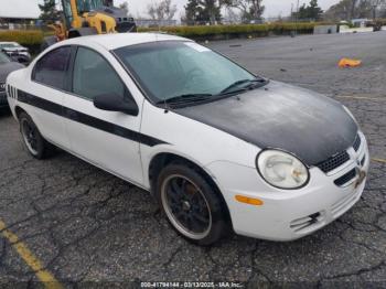  Salvage Dodge Neon