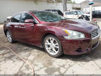  Salvage Nissan Maxima
