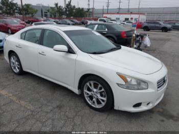  Salvage Nissan Maxima