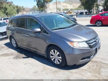  Salvage Honda Odyssey