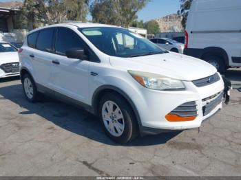  Salvage Ford Escape