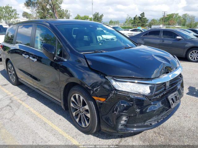  Salvage Honda Odyssey