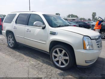  Salvage Cadillac Escalade