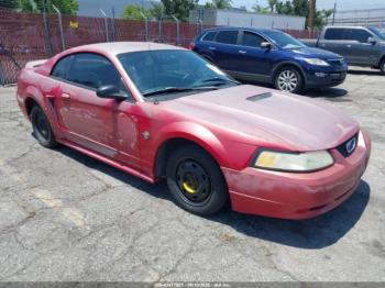  Salvage Ford Mustang