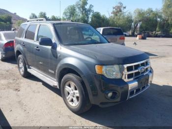  Salvage Ford Escape
