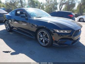  Salvage Ford Mustang