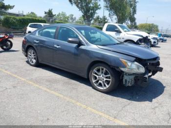  Salvage Nissan Maxima