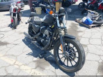 Salvage Harley-Davidson Xl883