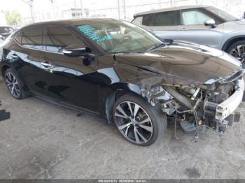  Salvage Nissan Maxima