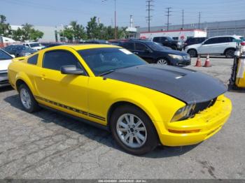  Salvage Ford Mustang