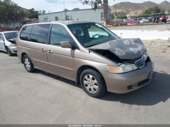  Salvage Honda Odyssey