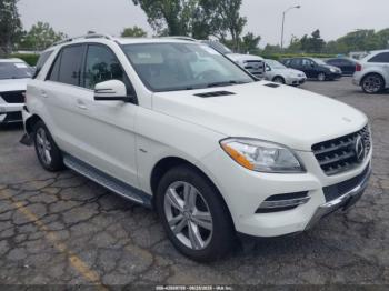  Salvage Mercedes-Benz M-Class