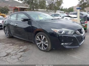  Salvage Nissan Maxima