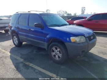  Salvage Ford Escape