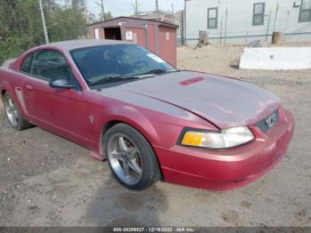  Salvage Ford Mustang
