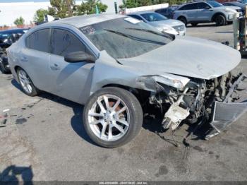  Salvage Nissan Maxima