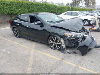  Salvage Nissan Maxima