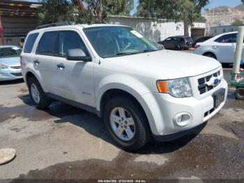  Salvage Ford Escape